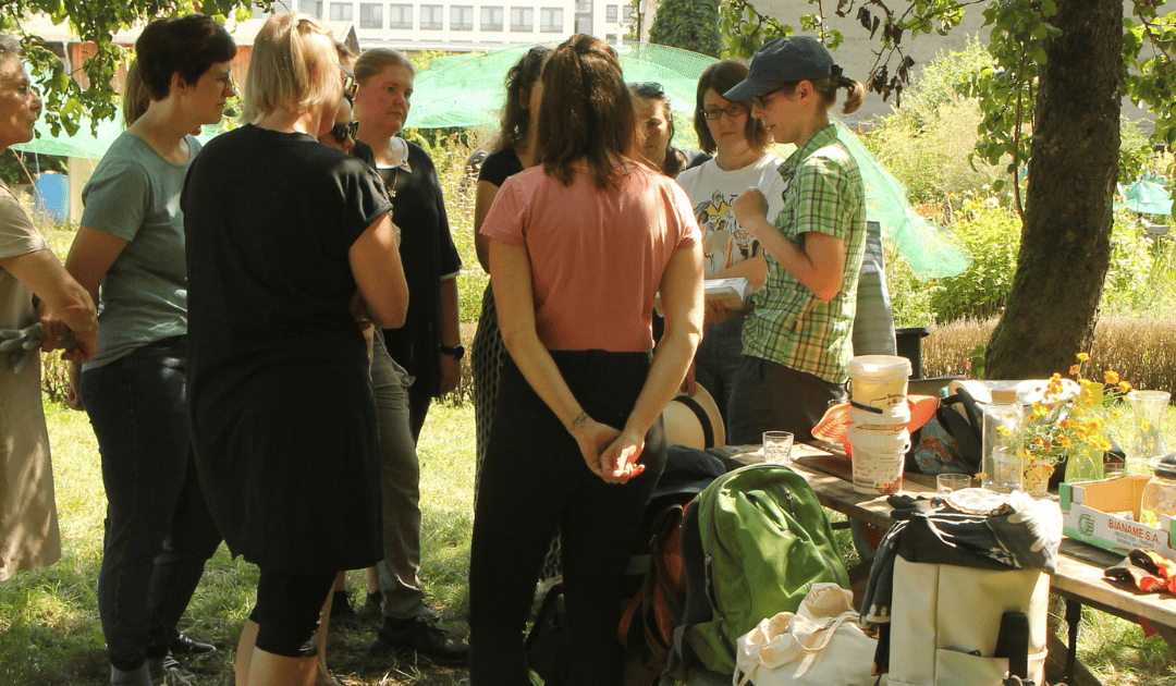 Fachgruppe Wildbienen Dresden startet im Januar