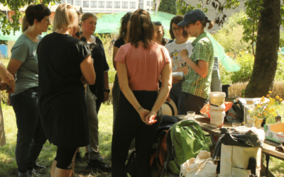 Fachgruppe Wildbienen Dresden startet im Januar