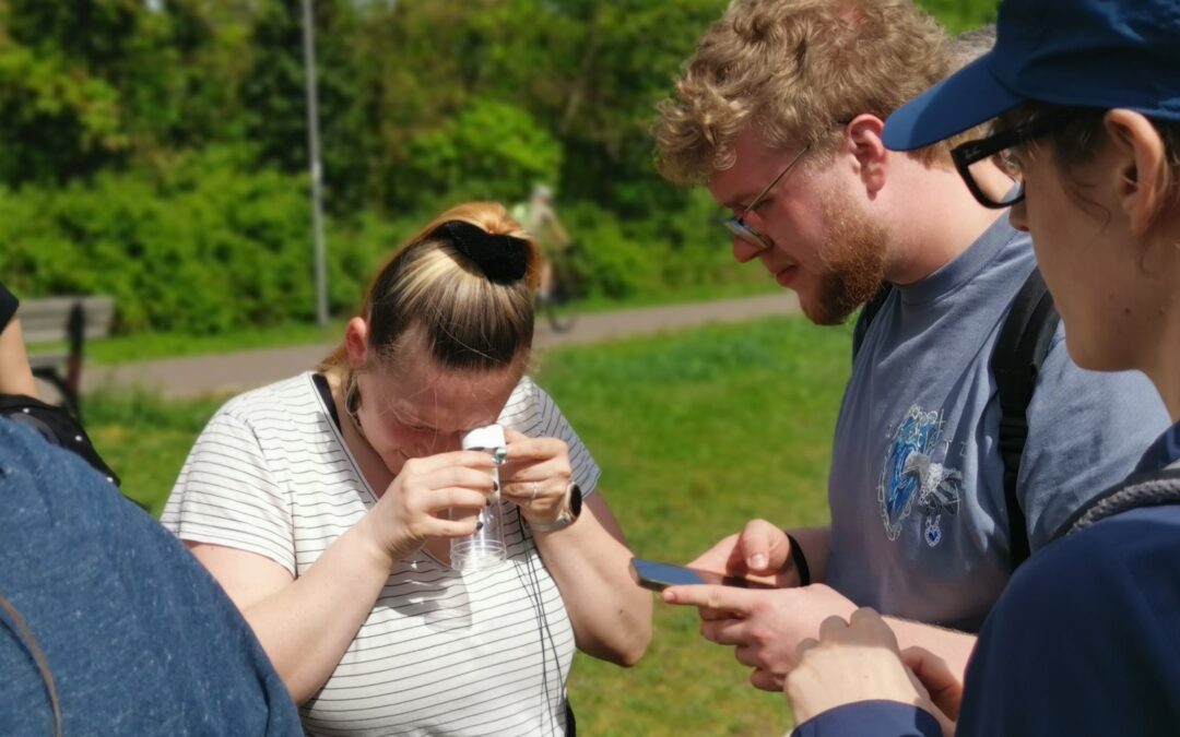 Wildbienen-Artenkenntnisschulung am 2. und 23. Juni: Jetzt Anmelden!