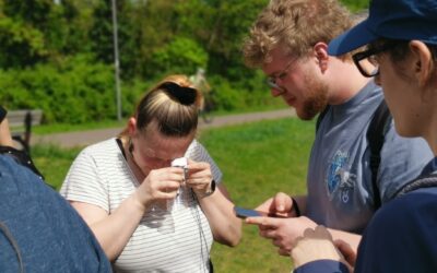 Wildbienen-Artenkenntnisschulung am 2. und 23. Juni: Jetzt Anmelden!