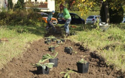 Maßnahmen für 2024 abgeschlossen