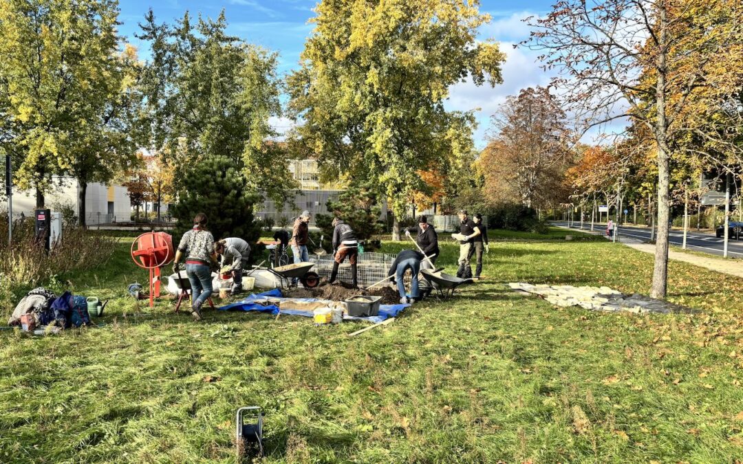 BBB setzt erste Maßnahmen um  