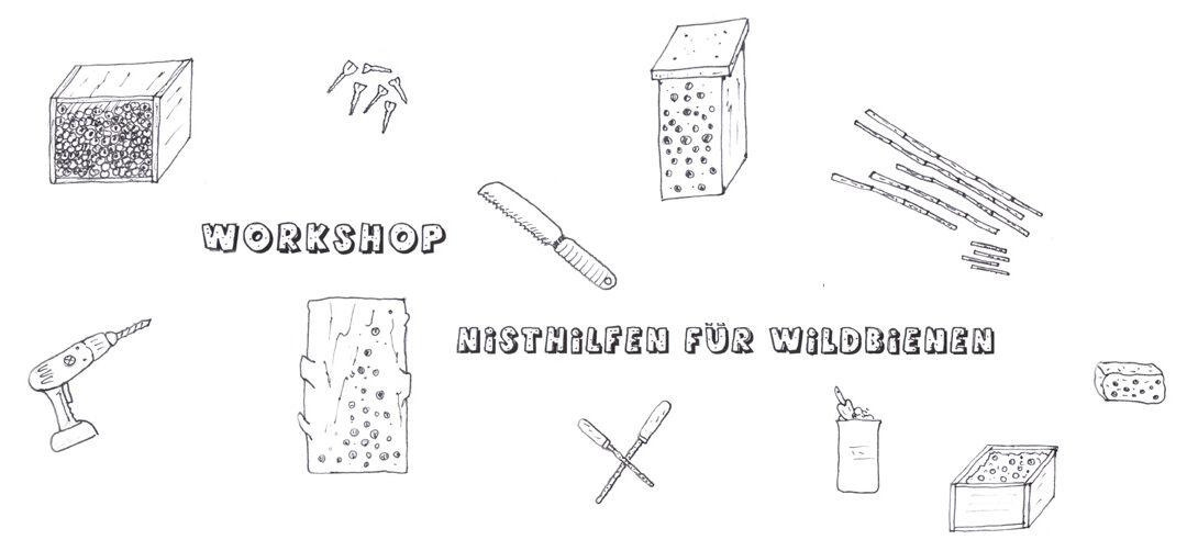 Workshop: Nisthilfen aus hohlen Pflanzenstängeln (ausgebucht)