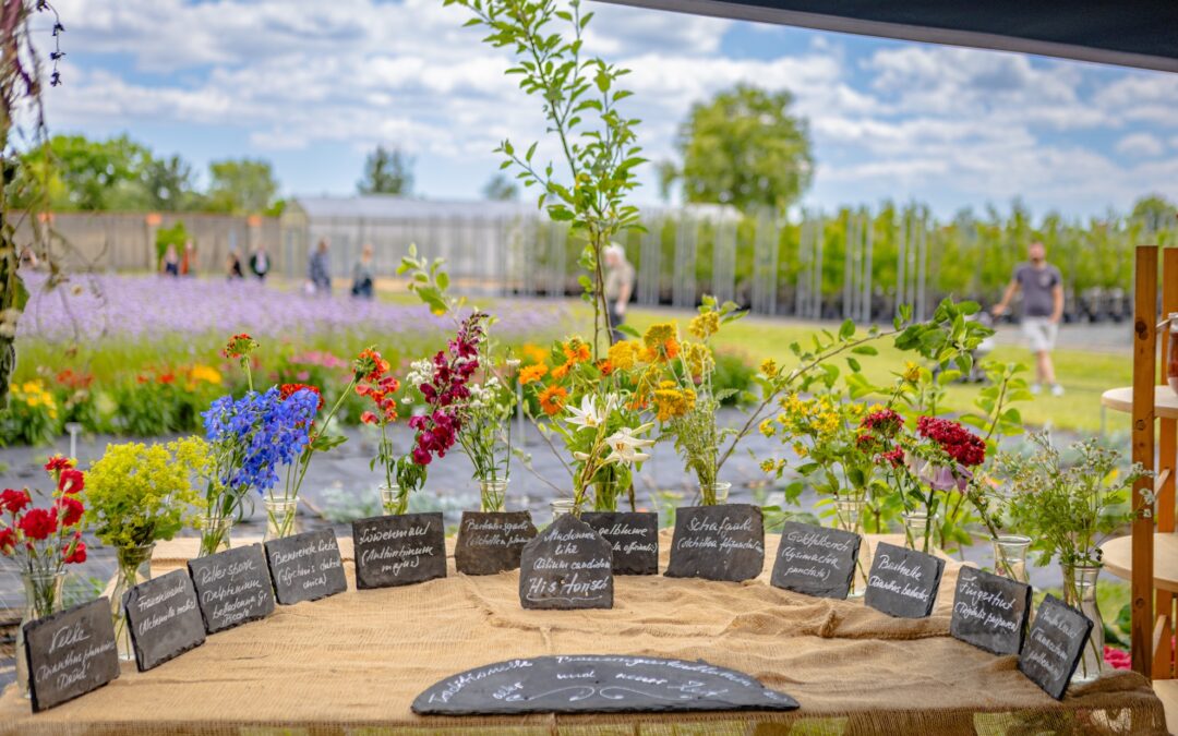 Pillnitzer Gartentag