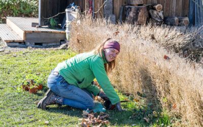 Mitmachnachmittage in der Gärtnerei gehen wieder los
