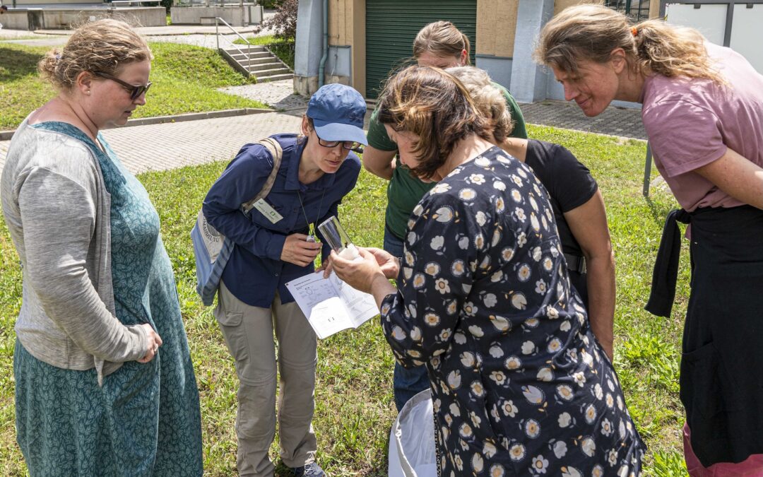 Artenkenntniskurs Wildbienen I – Grundlagen (ausgebucht)