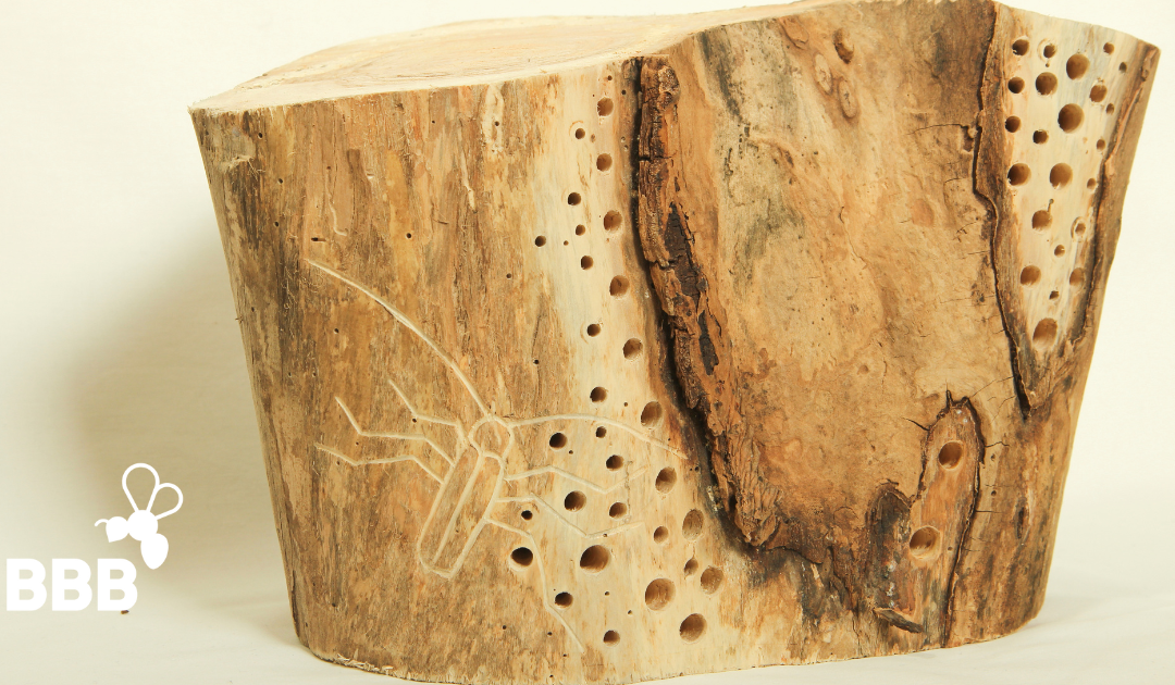 Online-Beratungstermin zum Kunstwettbewerb Nisthilfen