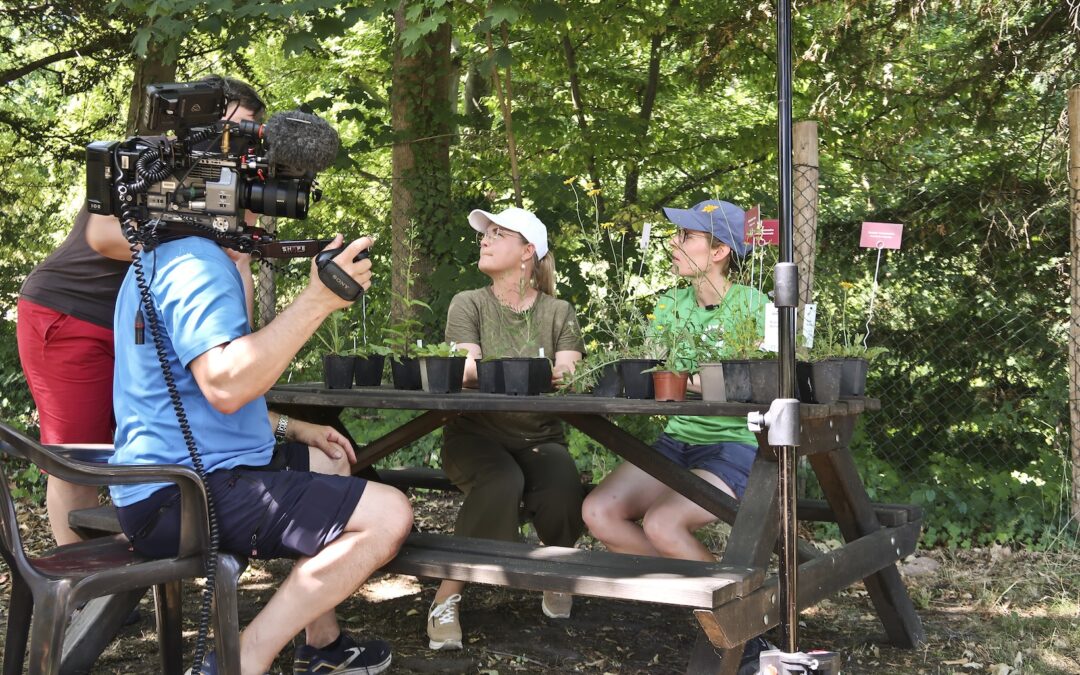 BienenBrückenBauen bei MDR Garten