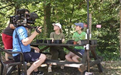 BienenBrückenBauen bei MDR Garten