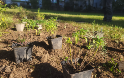 Kleiner Rückblick zu unserer Maßnahmenumsetzung