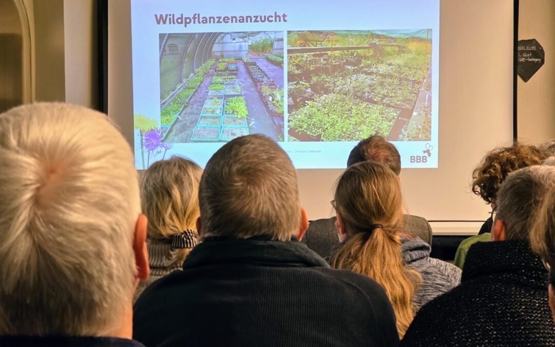 Veranstaltungswünsche für BienenBrückenBauen gesucht