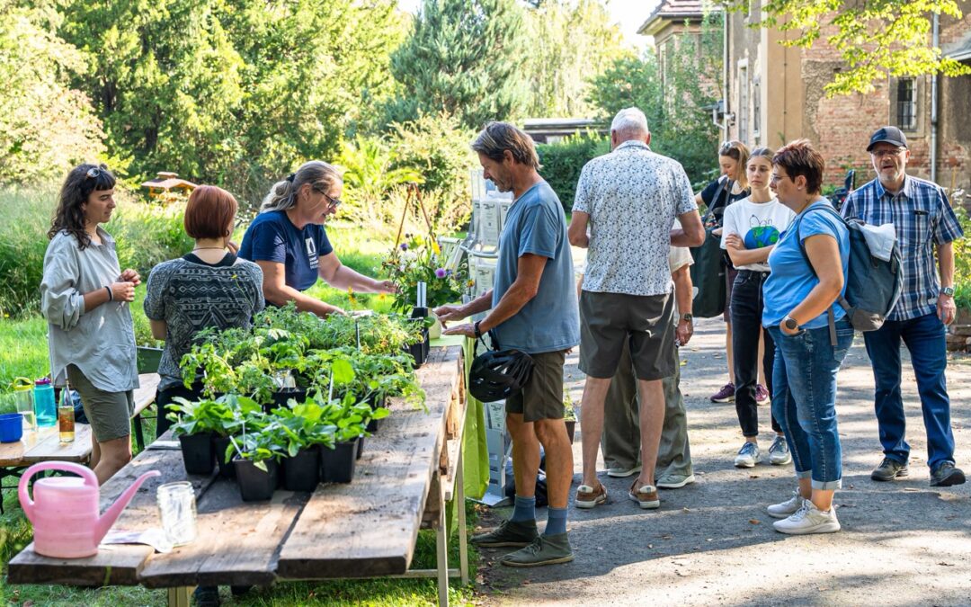 Ein Jahr für die Wildbienen: BBB lädt auch 2026 zum Mitmachen ein