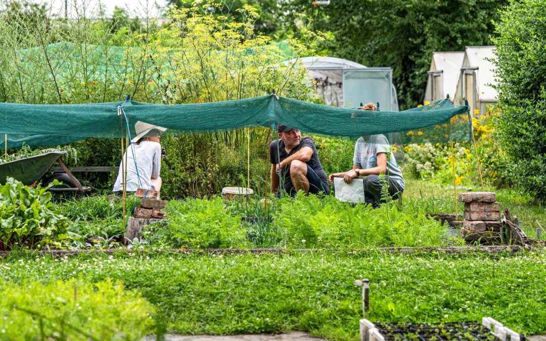 BBB ist Top-10-Projekt in UN-Wettbewerb